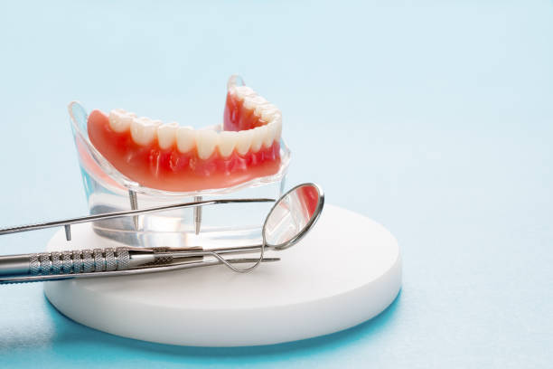 Best Pediatric Dentistry  in Contoocook, NH
